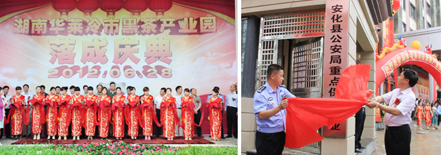 直銷專業網,華萊