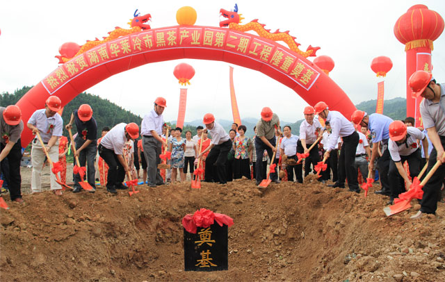 直銷專業網,華萊