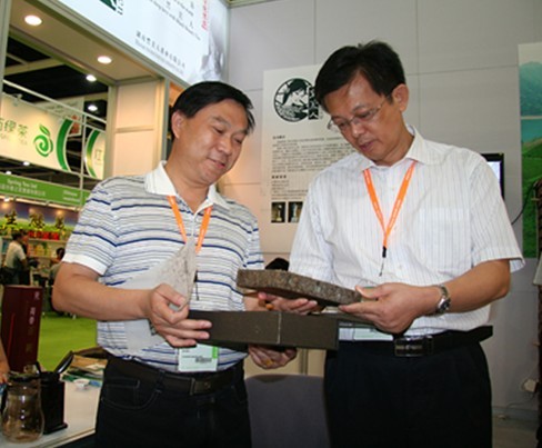 直銷專業網,華萊,陳社強,黑茶,直銷