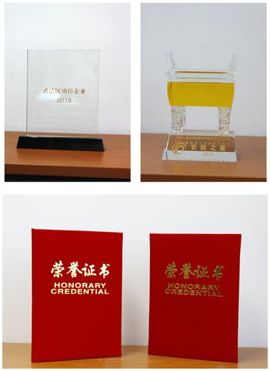 天獅集團榮獲2012年度貢獻之星企業稱號