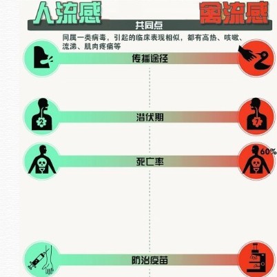 ㌦С֪