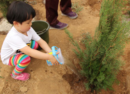 “Gɫ”—ȫֲ\ٴ`е̼