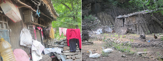 直銷專業網,羅麥,羅麥直銷,直銷,直銷中國,中國直銷,傳銷